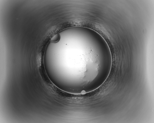 X0000096410694200801241221