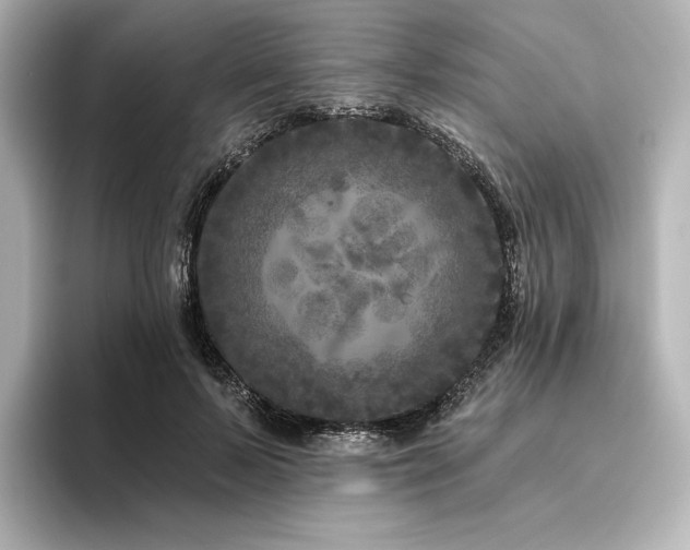 X0000096410695200801241221