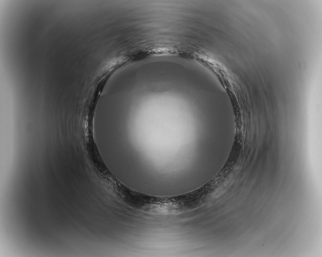 X0000096410696200801241221