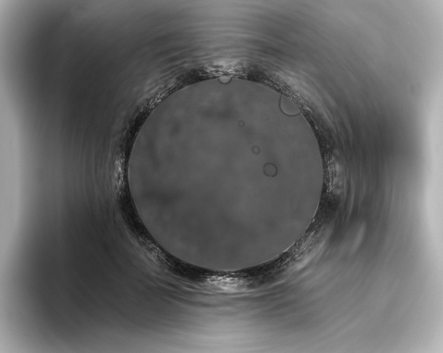 X0000096410699200801241221