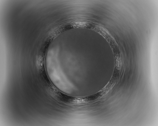 X0000096410701200801241221