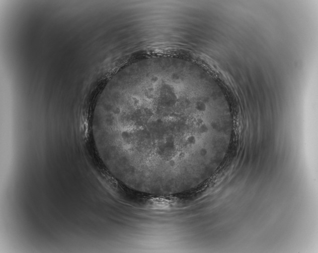 X0000096410703200801241221