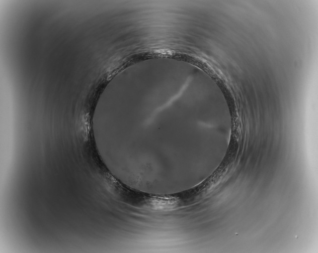 X0000096410707200801241221