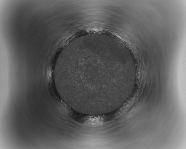 X0000096410709200801241221