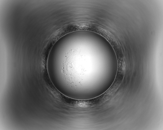 X0000096410710200801241221