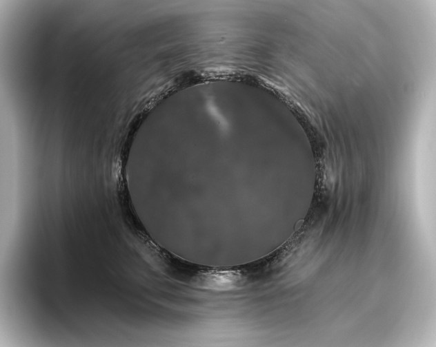 X0000096410711200801241221