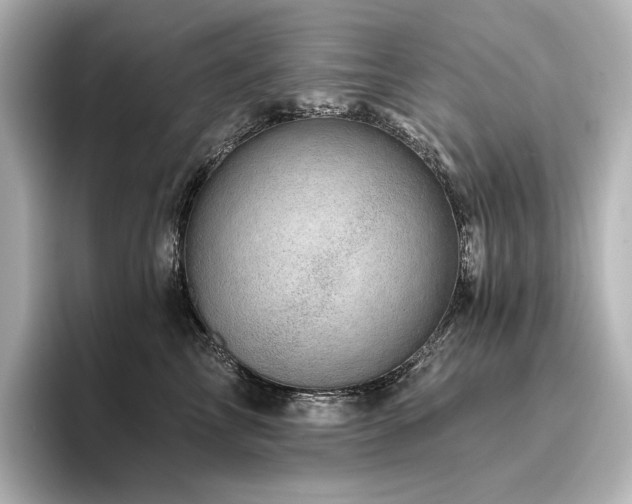 X0000096410713200801241221