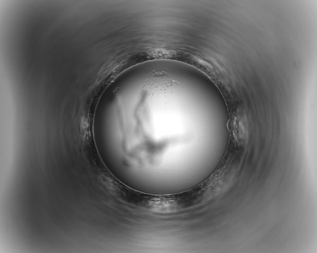 X0000096410714200801241221
