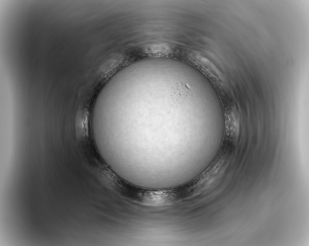 X0000096410717200801241221