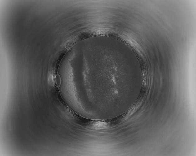 X0000096410718200801241221