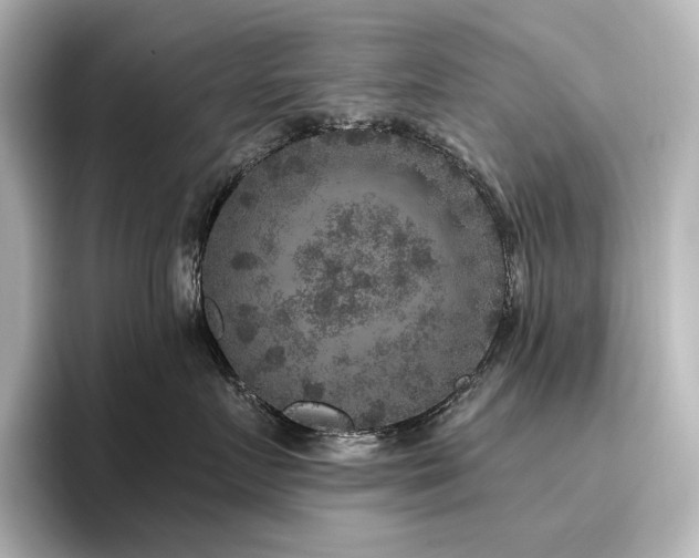 X0000096410719200801241221