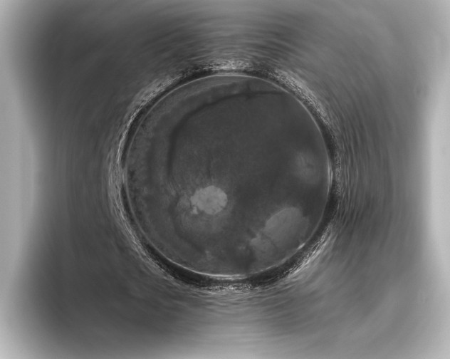 X0000096410721200801241220