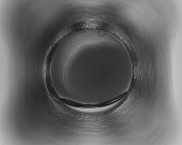 X0000096410722200801241220