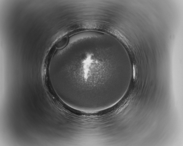 X0000096410723200801241220