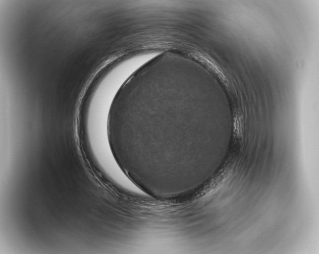 X0000096410724200801241220
