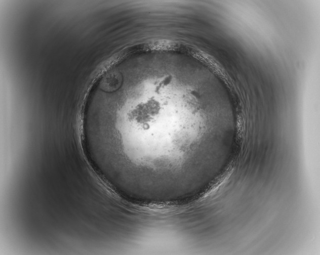 X0000096410725200801241220