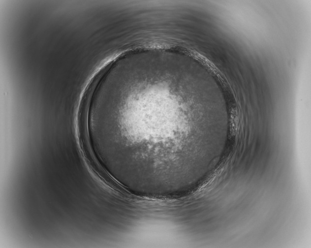 X0000096410726200801241220