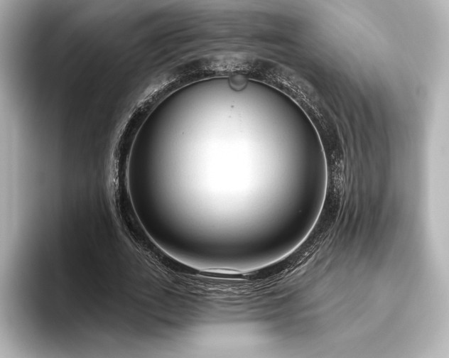 X0000096410727200801241220