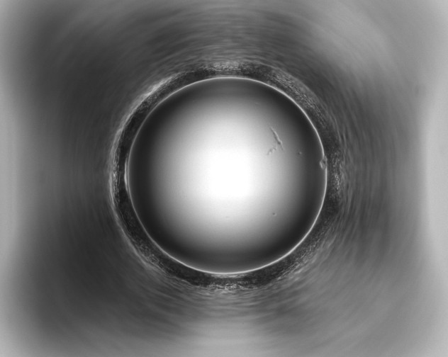 X0000096410728200801241220