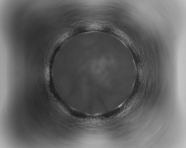 X0000096410729200801241220