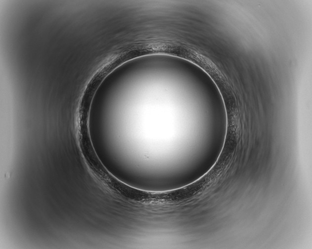 X0000096410730200801241220