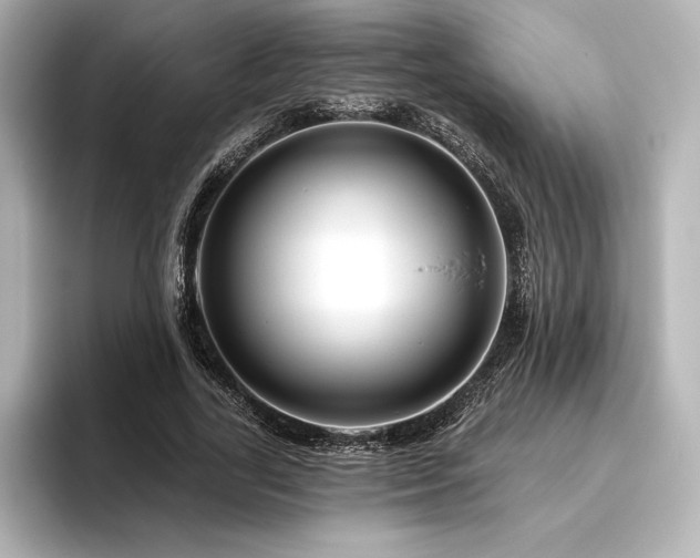 X0000096410731200801241220