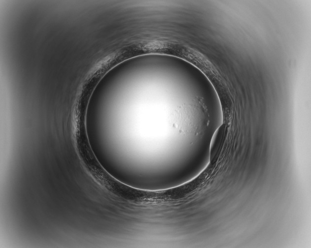 X0000096410732200801241220