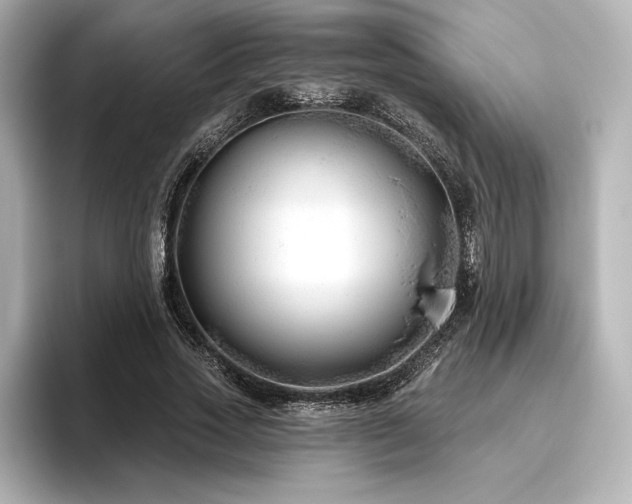 X0000096410733200801241220