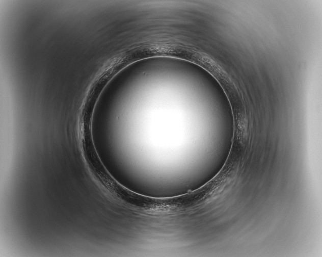 X0000096410734200801241220