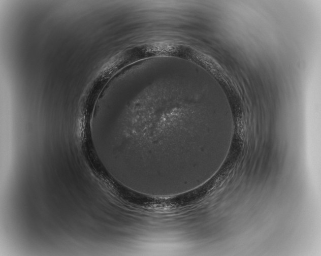 X0000096410735200801241220