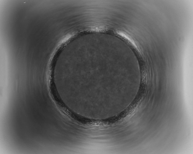 X0000096410736200801241220