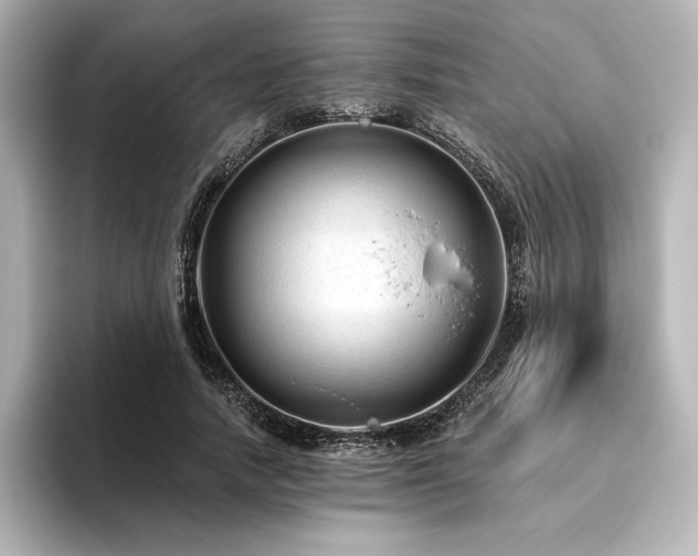 X0000096410738200801241220