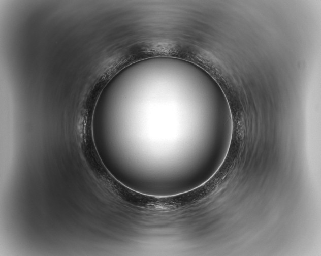 X0000096410739200801241220