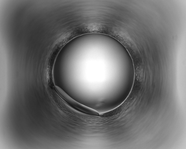 X0000096410740200801241220
