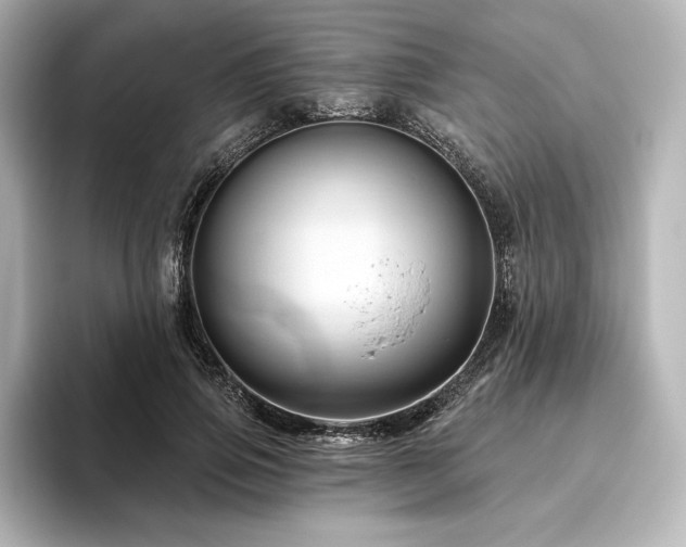 X0000096410741200801241220