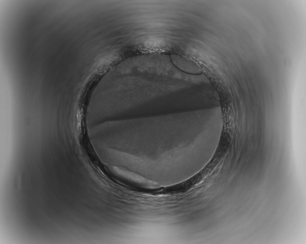 X0000096410742200801241220