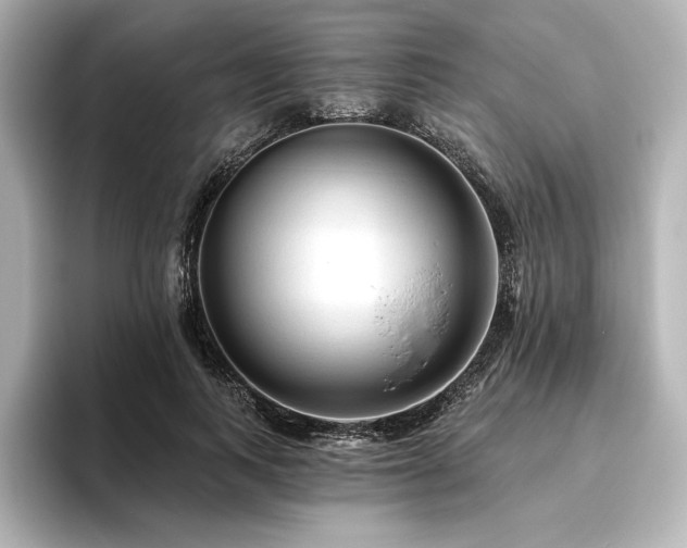 X0000096410743200801241220