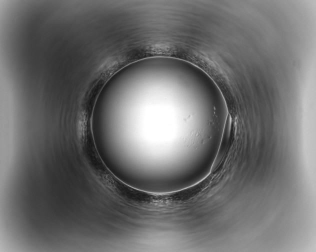 X0000096410744200801241220