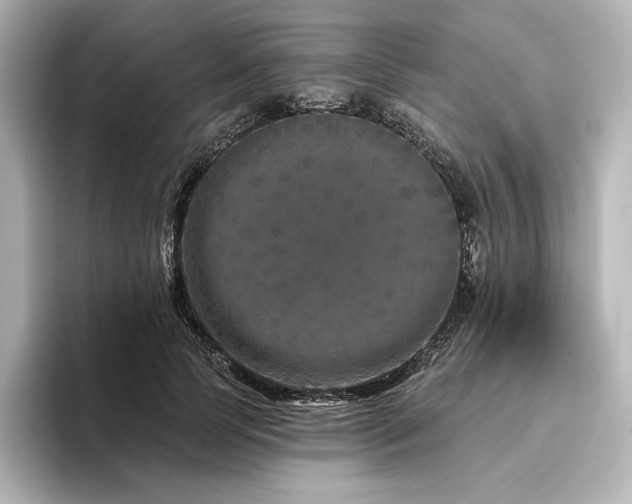 X0000096410745200801241220