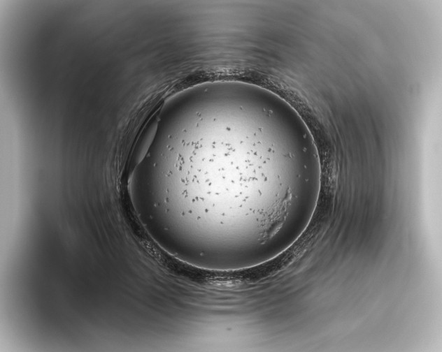 X0000096410746200801241220