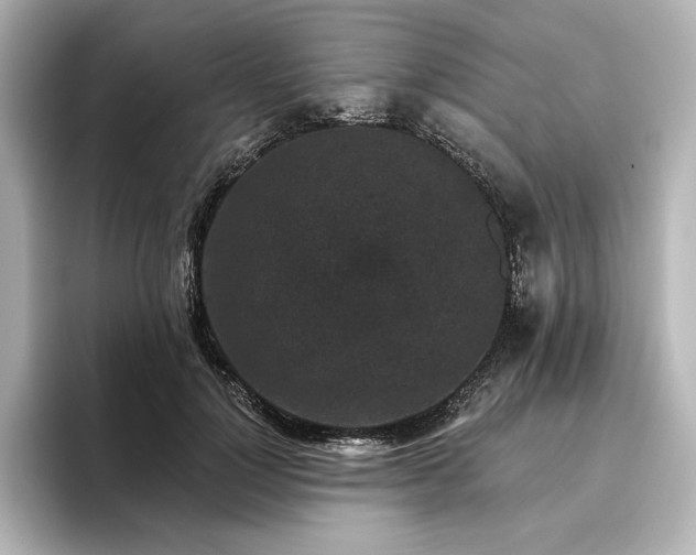 X0000096410748200801241220