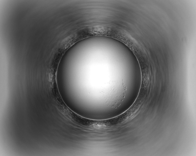 X0000096410749200801241220