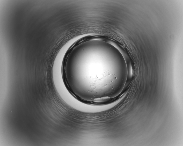 X0000096410750200801241220