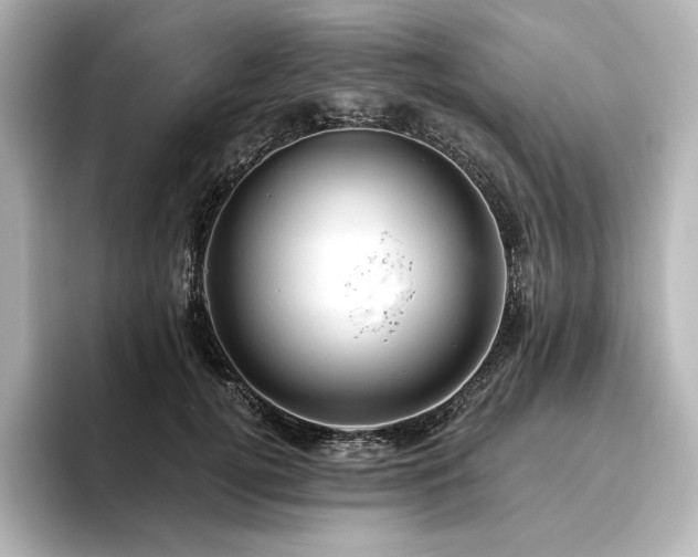 X0000096410752200801241220
