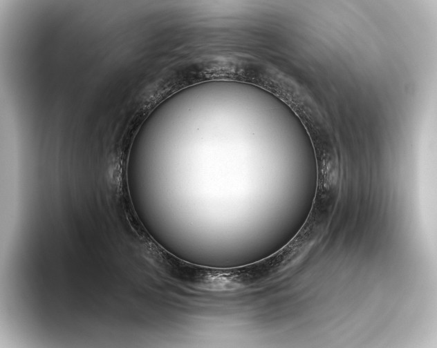 X0000096410753200801241220