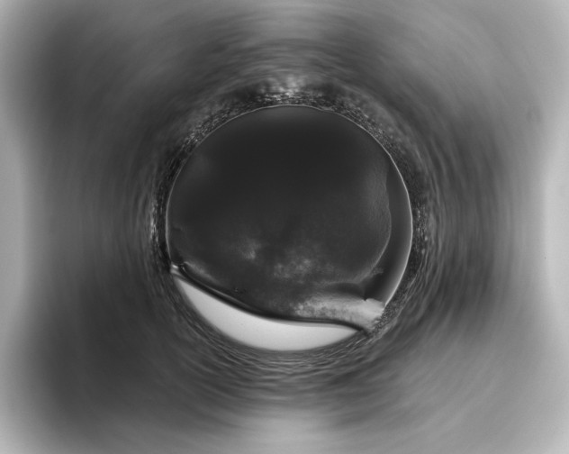 X0000096410754200801241220