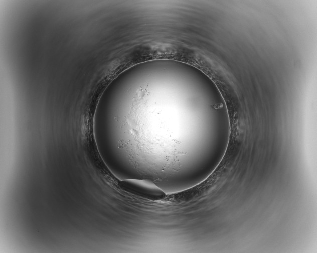 X0000096410756200801241220