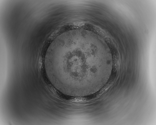 X0000096410758200801241220
