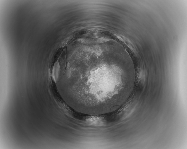 X0000096410759200801241220