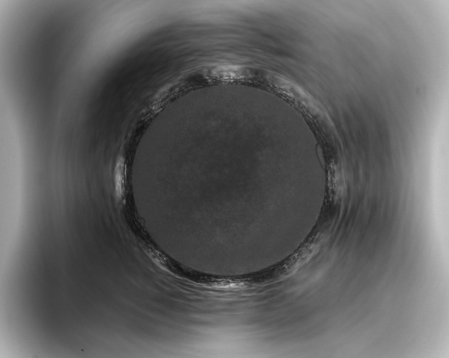 X0000096410760200801241220